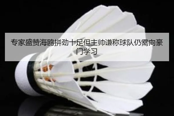 专家盛赞海鸥拼劲十足但主帅谦称球队仍需向豪门学习